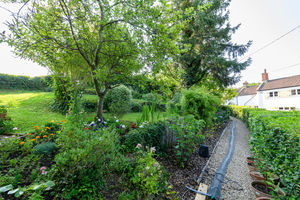 Garden- click for photo gallery